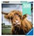Puzzle Moments: Highland Cattle Jigsaw Puzzle