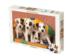 Jack Russel Terriers Animals Jigsaw Puzzle