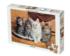 Maine Coon Cats Cats Jigsaw Puzzle