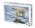 Mother and Cub Polar Bears Winter Jigsaw Puzzle