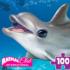 Animal Club Cube Dolphin Dolphin Jigsaw Puzzle
