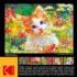 Cute Kitten In The Flowers Cats Jigsaw Puzzle