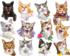 Selfies Dog, Cat & Animal Multipack Cats Jigsaw Puzzle