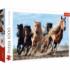 Galloping Horses Horse Jigsaw Puzzle