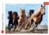 Galloping Horses Horse Jigsaw Puzzle