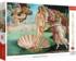 The Birth Of Venus - Scratch and Dent Fine Art Jigsaw Puzzle