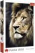 Lion's Portrait Big Cats Jigsaw Puzzle