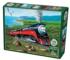 Southern Pacific Train Jigsaw Puzzle