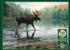 Moose Crossing Forest Animal Jigsaw Puzzle