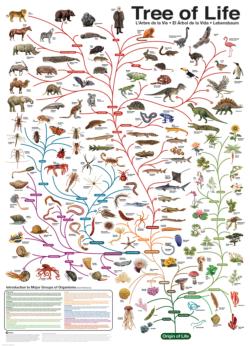 The Tree of Life Animals Jigsaw Puzzle