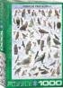 Birds of Prey and Owls - Scratch and Dent Birds Jigsaw Puzzle