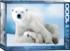 Polar Bear & Baby Bear Jigsaw Puzzle