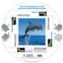 Bottlenose Dolphin Puzzle A•Round: Dolphin Jigsaw Puzzle