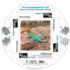 Collared Lizard Puzzle A•Round: Reptile & Amphibian Jigsaw Puzzle