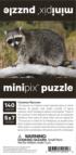 Common Raccoon Mini Puzzle Forest Animal Jigsaw Puzzle