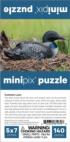 Common Loon MiniPix® Puzzle Birds Jigsaw Puzzle