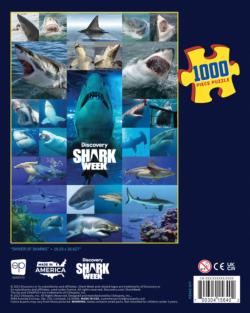 Shark Week Sea Life Jigsaw Puzzle