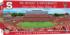 NC State Wolfpack NCAA Stadium Panoramics Center View Sports Jigsaw Puzzle