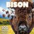 Bison 100 Piece Squzzle Animals Shaped Puzzle