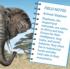 Elephant 100 Piece Squzzle Animals Shaped Puzzle