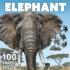Elephant 100 Piece Squzzle Animals Shaped Puzzle