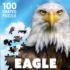 Eagle  Birds Shaped Puzzle