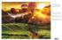 Hot Air Balloons and Strawberry Fields Countryside Jigsaw Puzzle