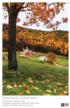 Fall Colors, Vermont Countryside Jigsaw Puzzle