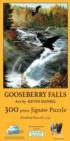 Gooseberry Falls Eagle Jigsaw Puzzle