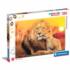 SuperColor 180 - Unexpected Hug  Animals Jigsaw Puzzle
