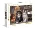 Lovely Kittens Cats Jigsaw Puzzle