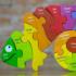 Counting Toucan Reptile & Amphibian Shaped Puzzle