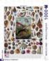 Mollusks Collage Jigsaw Puzzle