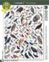 Birds of Eastern/Central North America Birds Jigsaw Puzzle