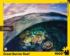 Great Barrier Reef Sea Life Jigsaw Puzzle