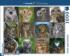 Owls and Owlets Birds Jigsaw Puzzle