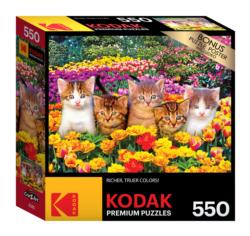 Kodak 550 - Cute Kittens on the Grass Animals Jigsaw Puzzle