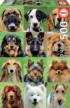 Dogs Collage - Scratch and Dent Dogs Jigsaw Puzzle