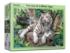 The Roar Of A White Tiger Tigers Jigsaw Puzzle