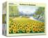 Sunflower In Hometown Lakes / Rivers / Streams Jigsaw Puzzle
