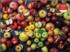 Heirloom Apples Food and Drink Jigsaw Puzzle