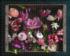 Cultivated - Scratch and Dent Flower & Garden Jigsaw Puzzle