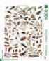 Insects ~ Insectes Butterflies and Insects Jigsaw Puzzle