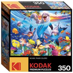 Playful Dolphins Sea Life Jigsaw Puzzle