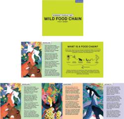 Wild Food Chain Science Multipack Animals Jigsaw Puzzle
