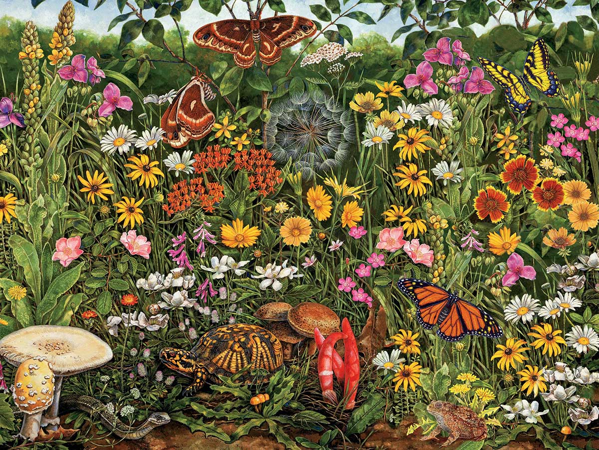 Midwest Summer Butterflies and Insects Jigsaw Puzzle