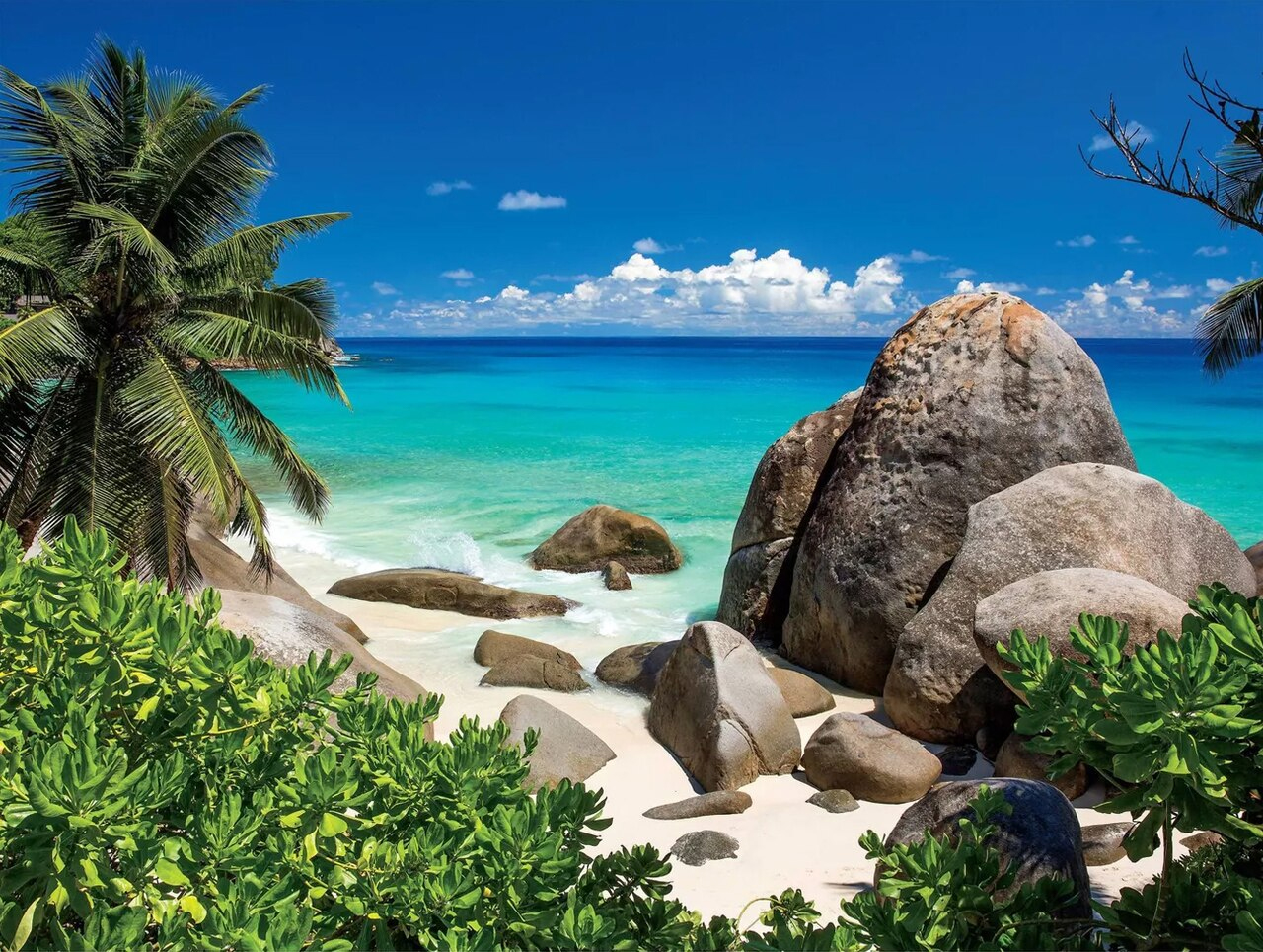 Seychelles Beach & Ocean Jigsaw Puzzle