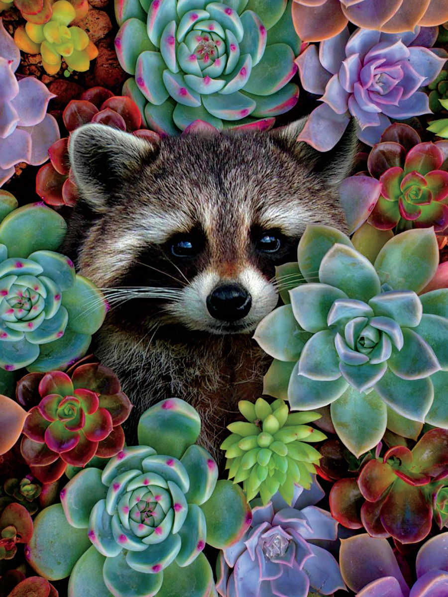 Nature's Beauty - Raccoon Forest Animal Jigsaw Puzzle