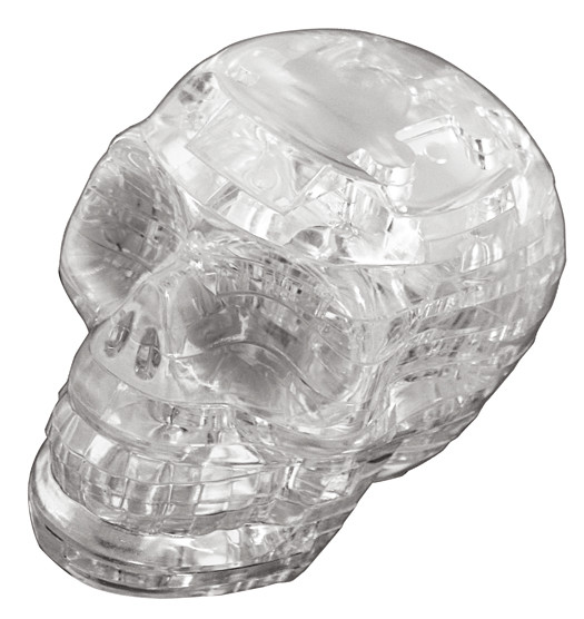 Skull  3D Crystal Puzzle Science Jigsaw Puzzle