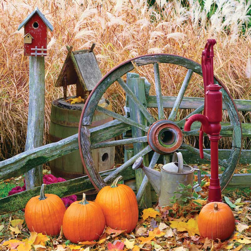 halfbaked harvest pumpkin halfbaked harvest pumpkin